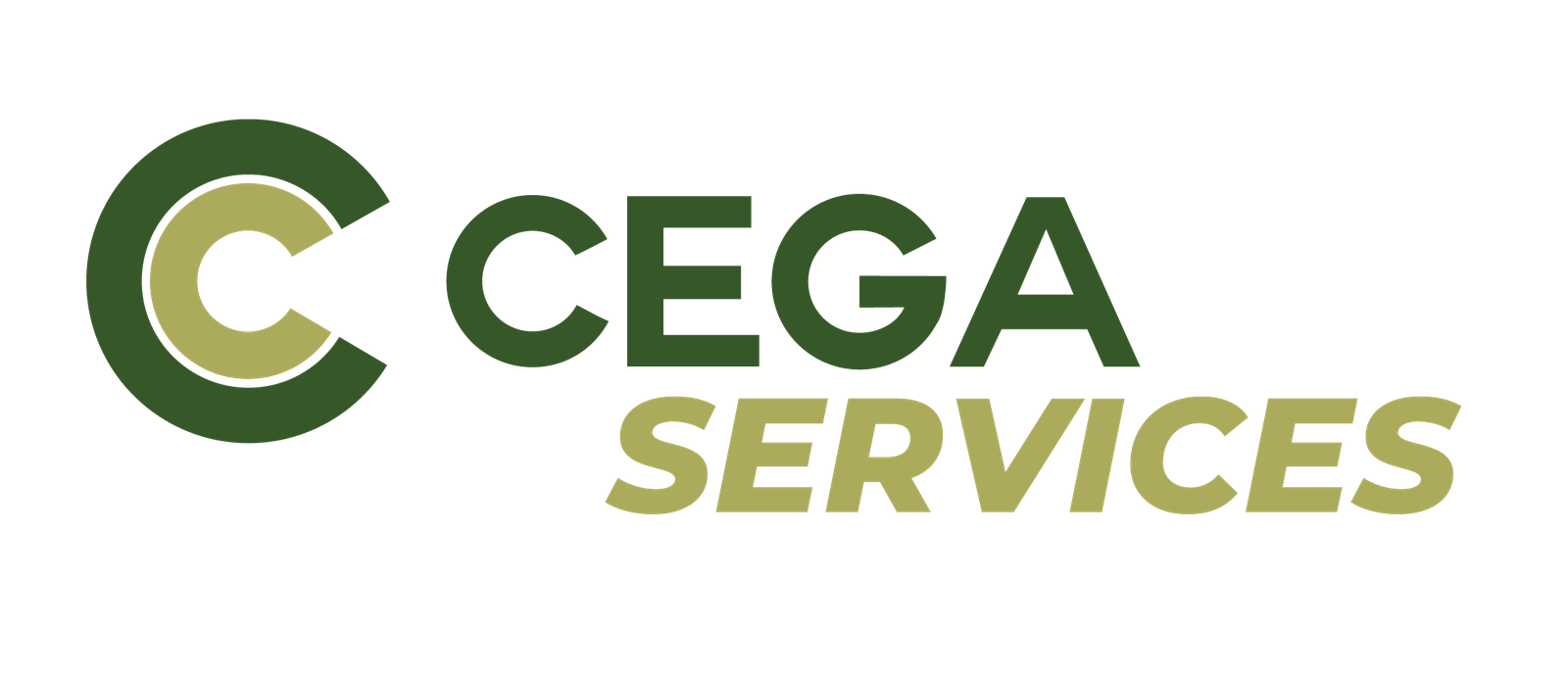 MARCAS CEGACORP - variantes41