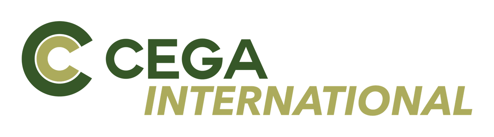 MARCAS CEGACORP - variantes_Mesa de trabajo 1 copia 15